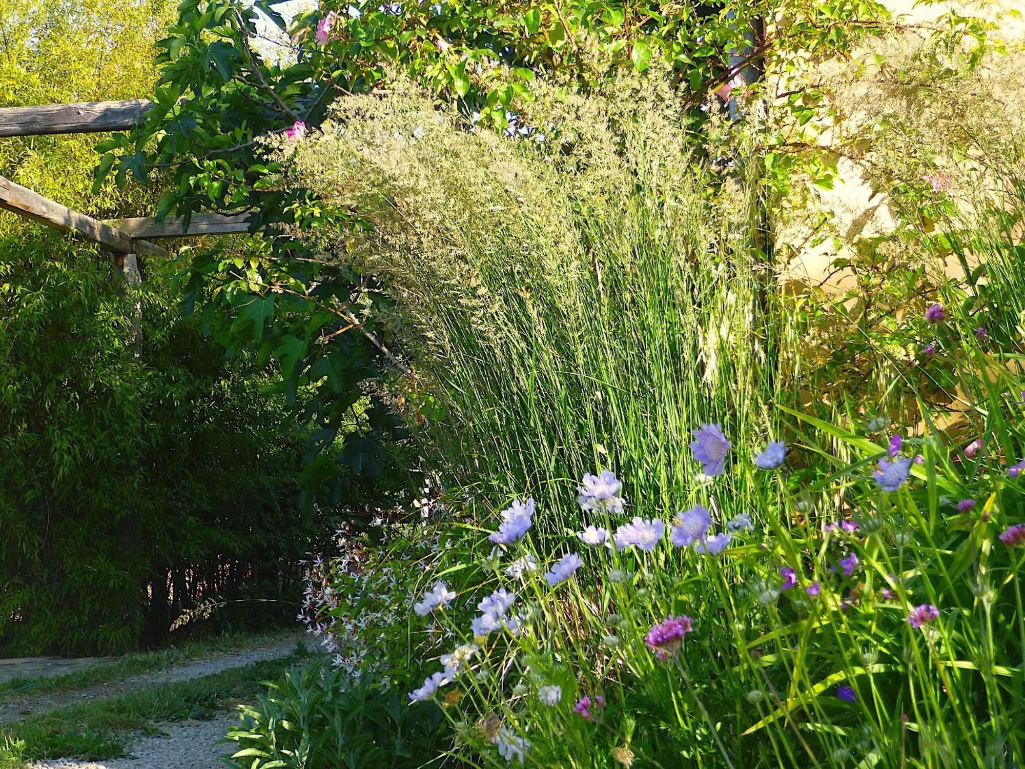Podere di Maggio - Glamping tent 2 Santa Fiora Bagian luar foto