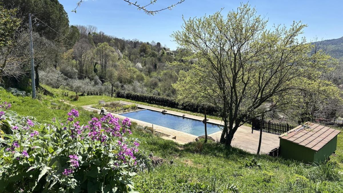 Podere di Maggio - Glamping tent 2 Santa Fiora Bagian luar foto