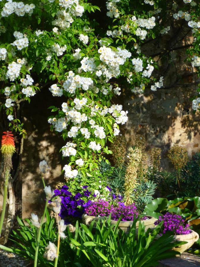 Podere di Maggio - Glamping tent 2 Santa Fiora Bagian luar foto